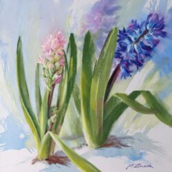 Flowering plant - Hyacinth