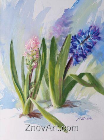 Flowering plant - Hyacinth