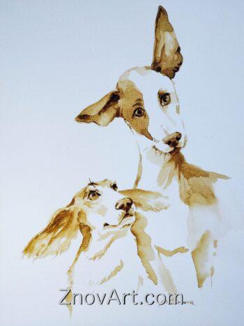 Italian Greyhound - Dog Breed